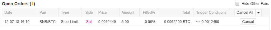 open orders UI binance