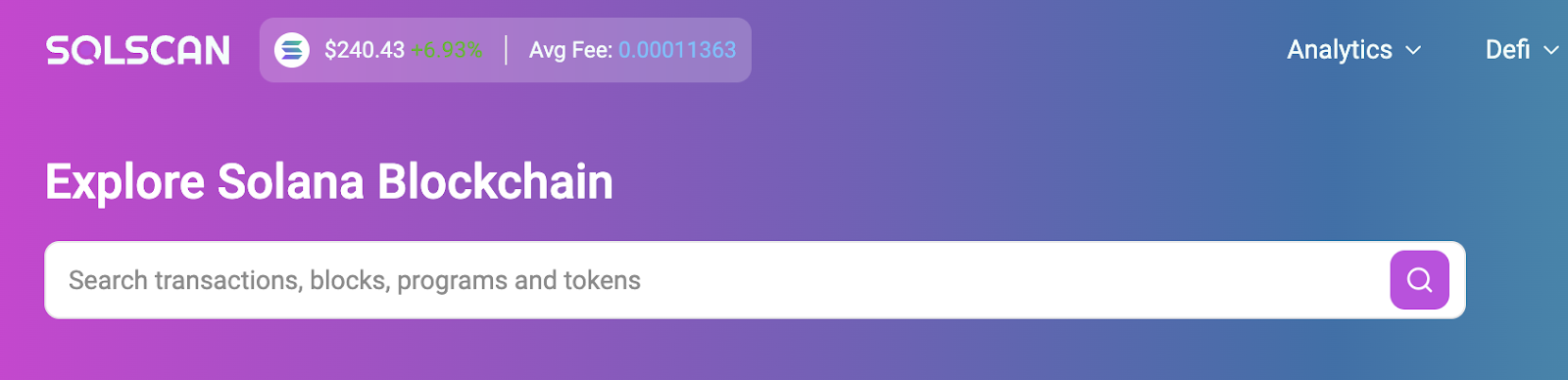 SolScan 搜索栏